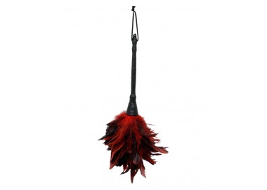 Fruste & Paddle - FF Frisky Feather Duster Red - Pipedream